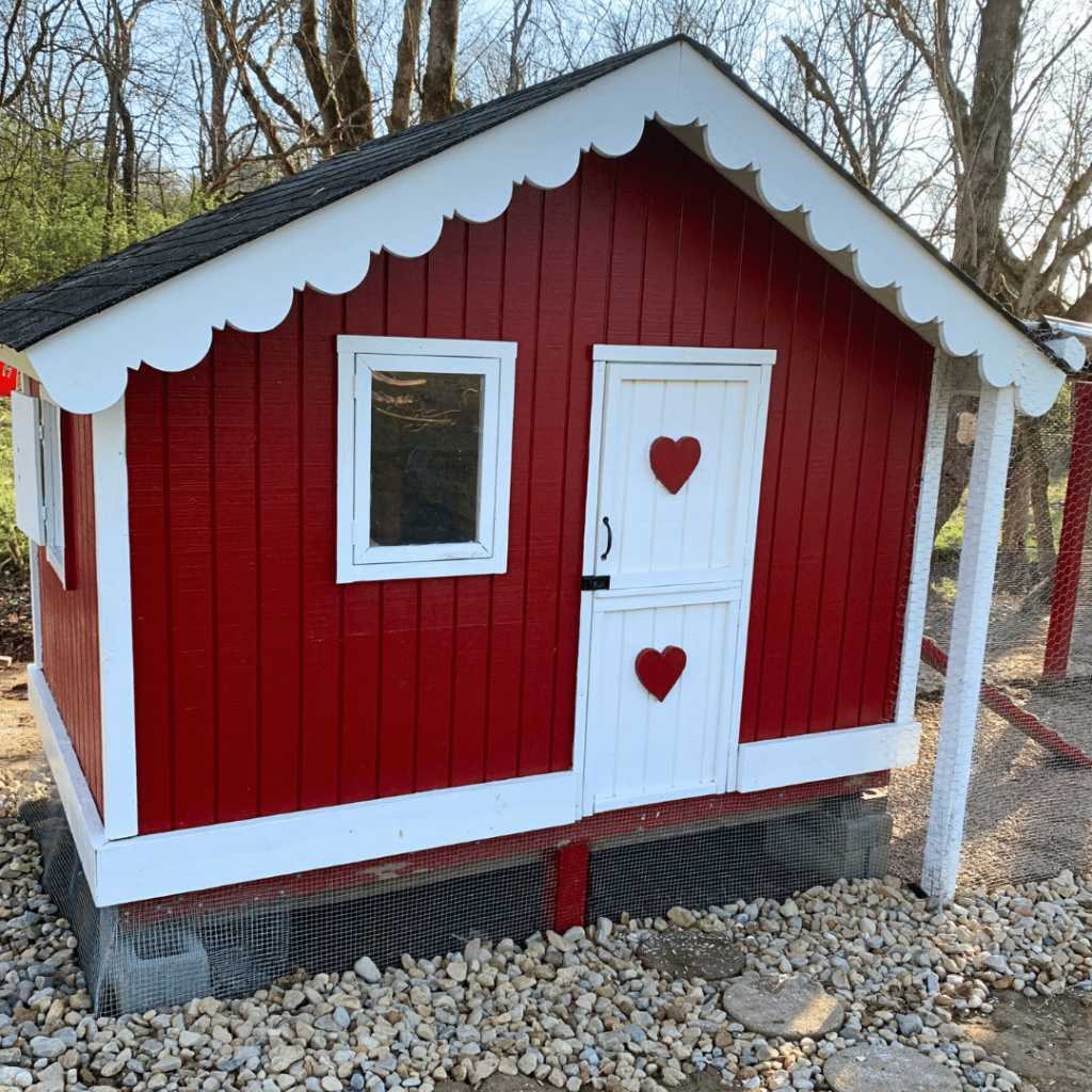 photo of the finished chicken coop