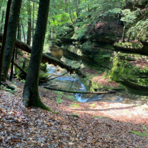 photo of hiking trail