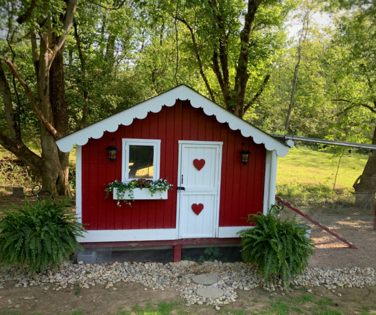 photo of front chicken coop