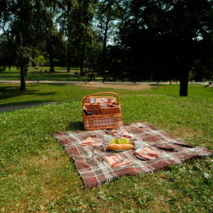 photo of picnic