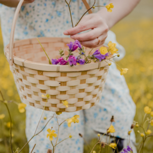 photo of a woman picking flowers