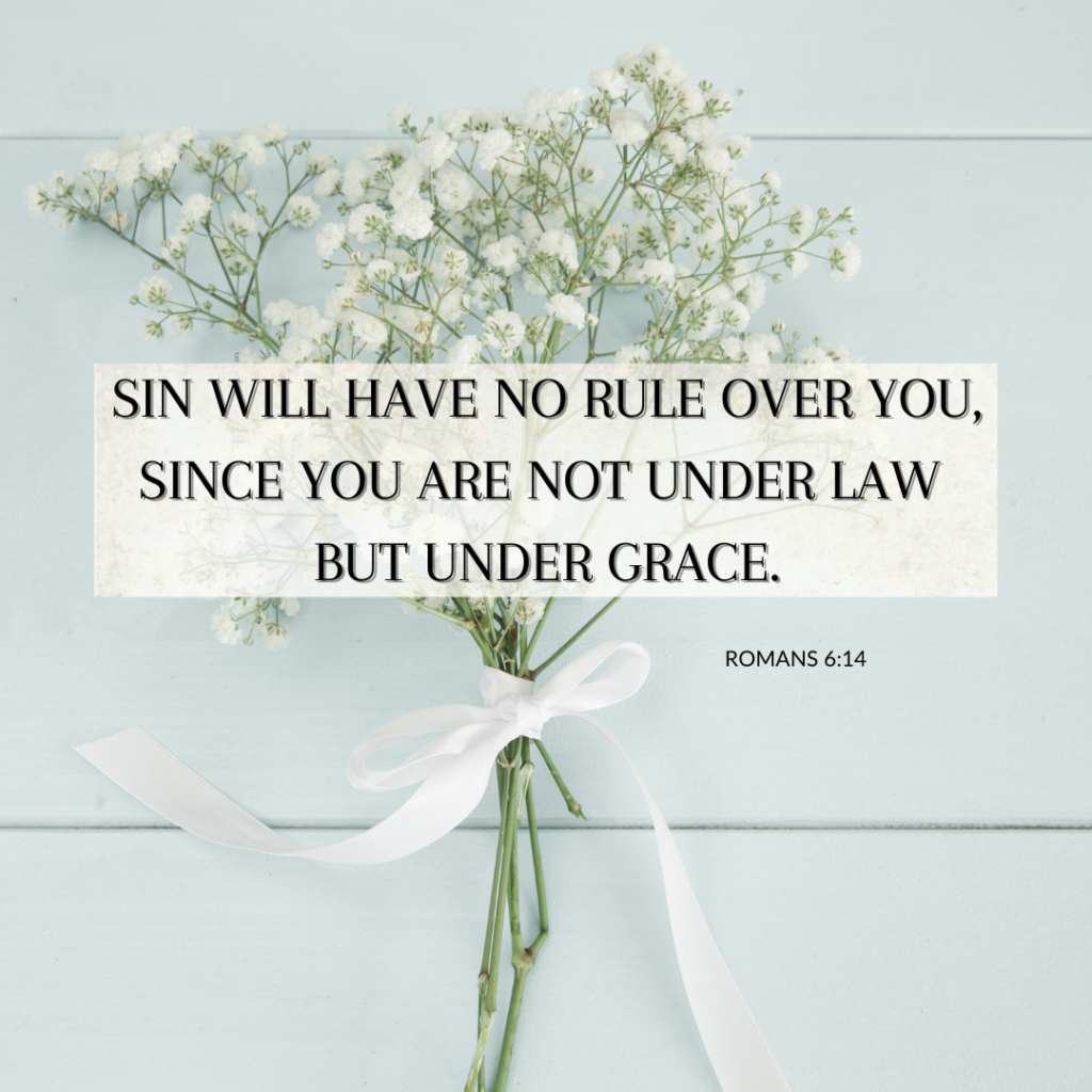 photo of flowers with scripture romans 6:14 