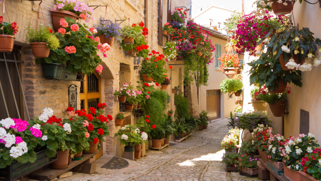 photo of a beautiful village with lots of flowers on the houses