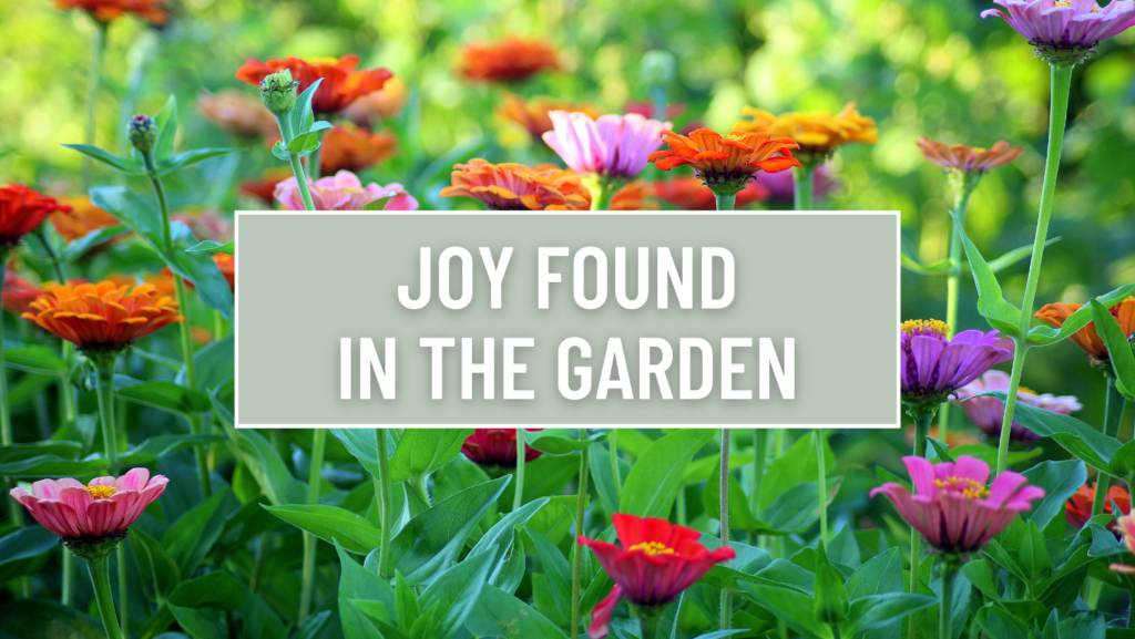 photo of joy found in the garden