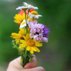 photo of a hand holding hand picked bouquet