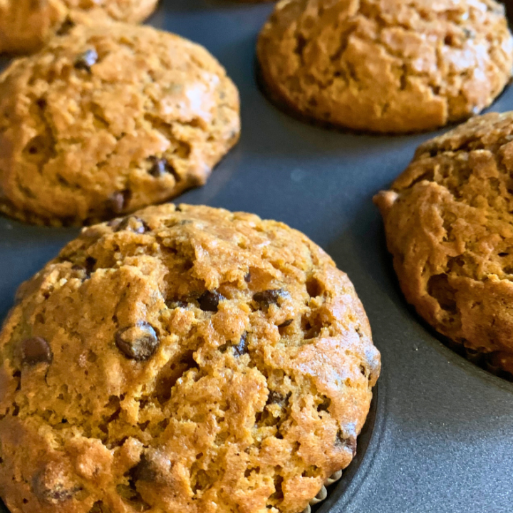 photo of pumpkin chocolate chip muffins