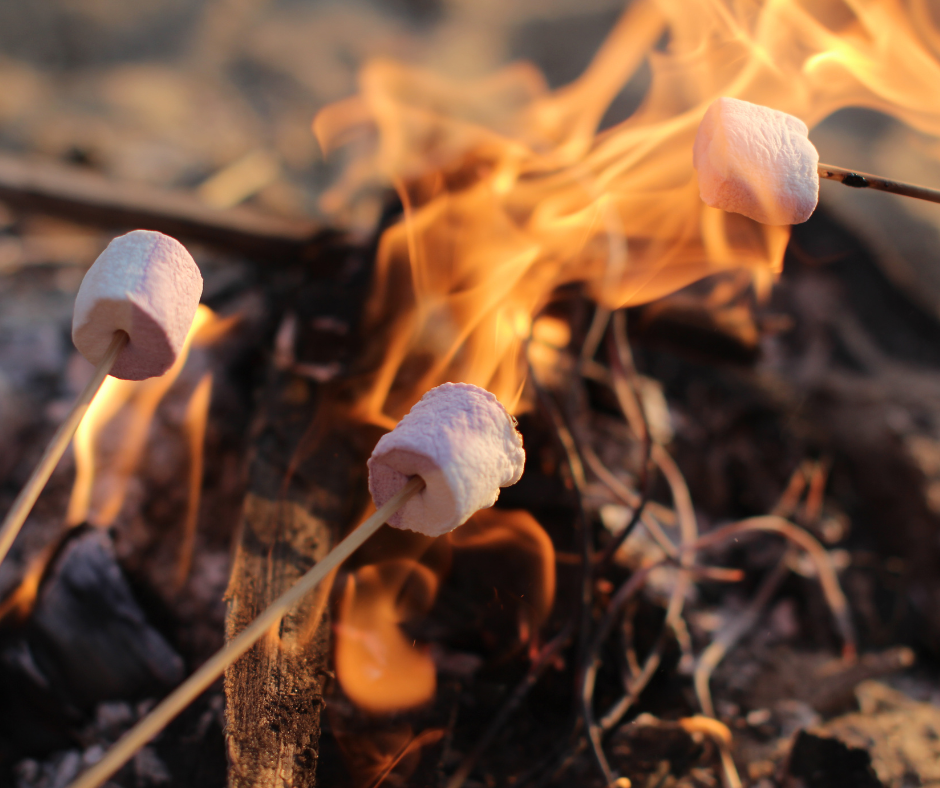a photo of a campfire with marshmallows roasting