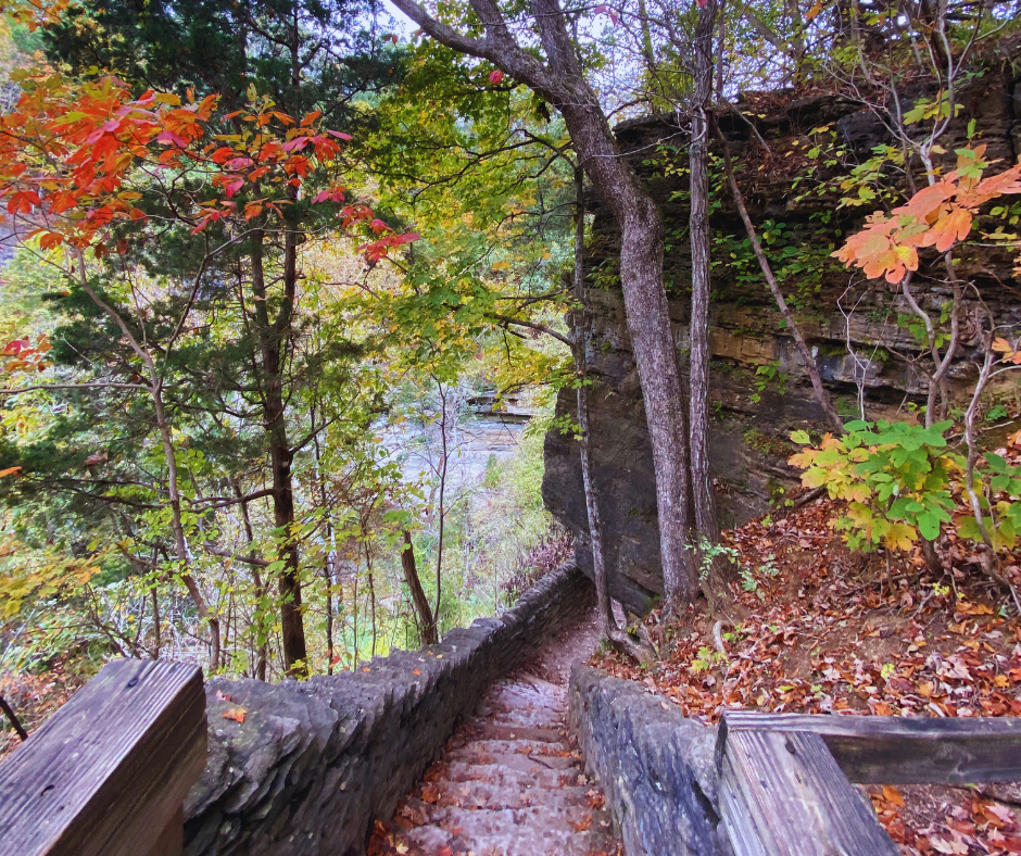 photo of steps on a hiking trail