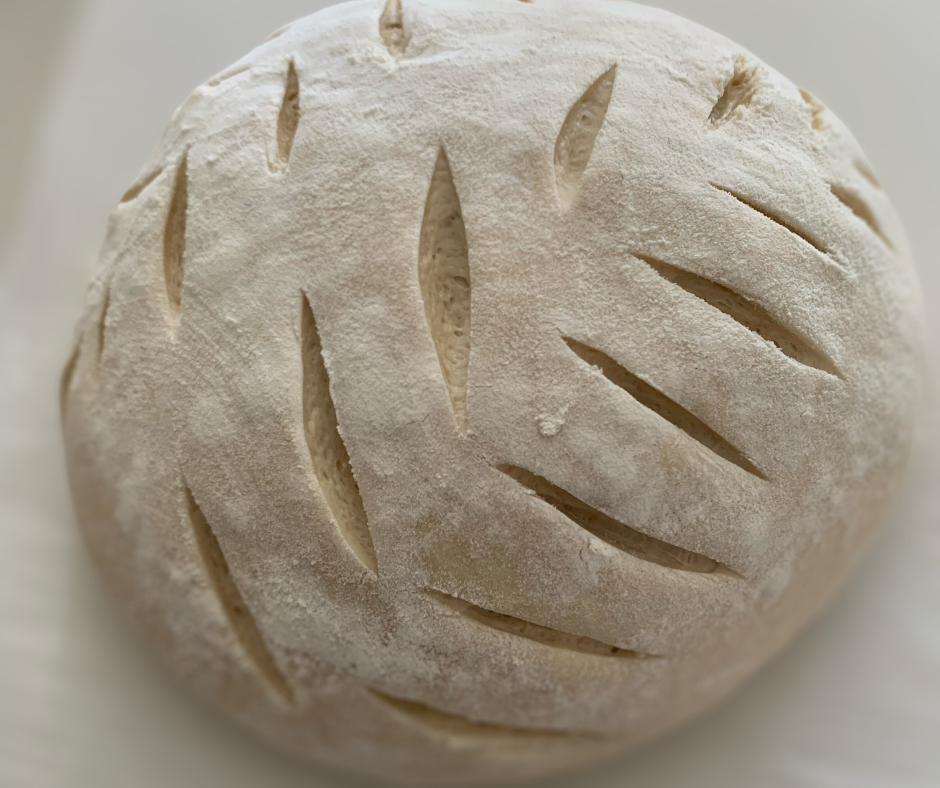photo of unbaked sourdough scored